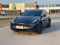 Tesla Model Y Edition - ფოტო 1