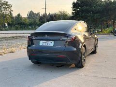 Tesla Model Y Edition - ფოტო 6