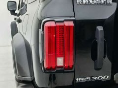 Tank 300 2.0T - ფოტო 18