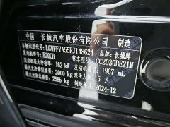 Tank 300 2.0T - ფოტო 19