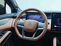 BYD L EV Smart Drive Edition 662km Version - ფოტო 14