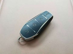 BYD L EV Smart Drive Edition 662km Version - ფოტო 4