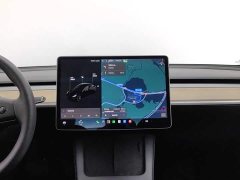 Tesla Model 3 Standard Range Edition 3D1 - ფოტო 12