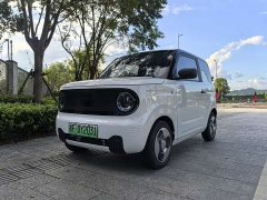 Geely Panda mini Edition - ფოტო 1
