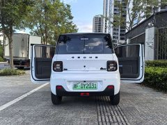Geely Panda mini Edition - ფოტო 16