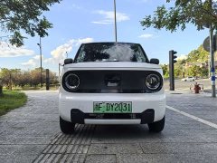 Geely Panda mini Edition - ფოტო 2