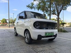 Geely Panda mini Edition - ფოტო 3