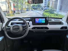 Geely Panda mini Edition - ფოტო 9
