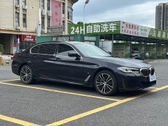 BMW 5 530Li Version M - ფოტო 3