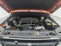 Tank 300 Off-Road Edition 2.0T - ფოტო 6