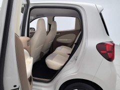 Wuling MINIEV Edition - ფოტო 15