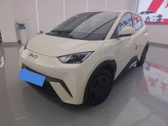BYD Seagull 305km Edition - ფოტო 1