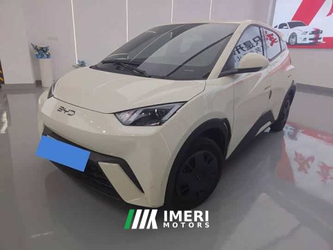 2025 BYD Seagull 305km Edition - ავტომობილი ჩინეთიდან