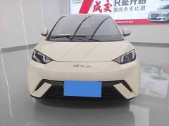 BYD Seagull 305km Edition - ფოტო 2