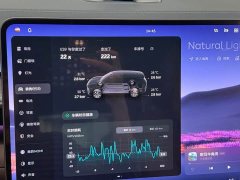 Nio ES9 102kWh Luxury Edition - ფოტო 20