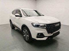 Haval H6 Edition 1.5T Edition - ფოტო 1