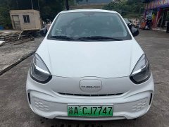 SAIC CLEVER 311km Edition - ფოტო 2