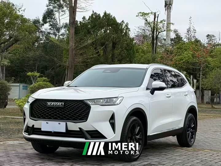 Haval H6 2.0T 2WDMax - ავტომობილი ჩინეთიდან