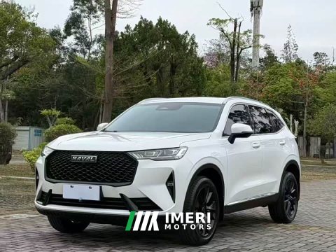 2022 Haval H6 2.0T 2WDMax - ავტომობილი ჩინეთიდან