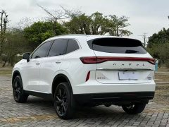 Haval H6 2.0T 2WDMax - ფოტო 12