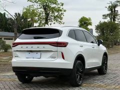 Haval H6 2.0T 2WDMax - ფოტო 13