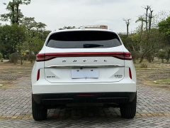 Haval H6 2.0T 2WDMax - ფოტო 14
