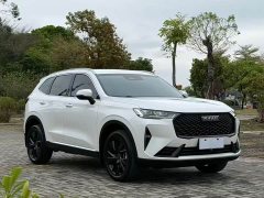 Haval H6 2.0T 2WDMax - ფოტო 3