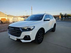 Haval H6 1.5GDIT Edition - ფოტო 1