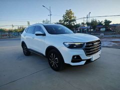 Haval H6 1.5GDIT Edition - ფოტო 2