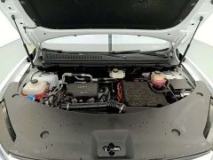 BYD Song Smart Drive Edition DM-i 115KM Version - ფოტო 17