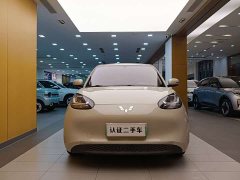 Wuling Bingo 333km - ფოტო 3