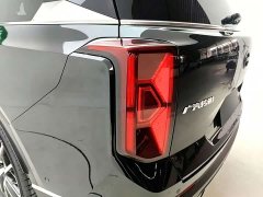 GAC GS8 2.0TGDI 2WDPremium Edition - ფოტო 20
