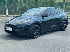 Tesla Model Y Edition - ფოტო 1