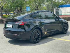 Tesla Model Y Edition - ფოტო 16