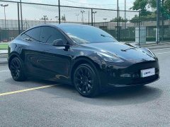Tesla Model Y Edition - ფოტო 3