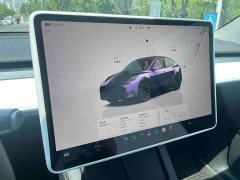 Tesla Model Y Edition - ფოტო 7