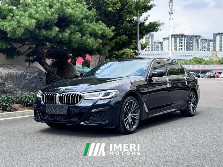 BMW 5 530Li Deluxe Version M - ავტომობილი ჩინეთიდან