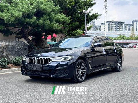 2023 BMW 5 530Li Deluxe Version M - ავტომობილი ჩინეთიდან