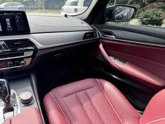 BMW 5 530Li Deluxe Version M - ფოტო 8