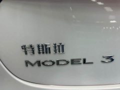 Tesla Model 3 Edition - ფოტო 17