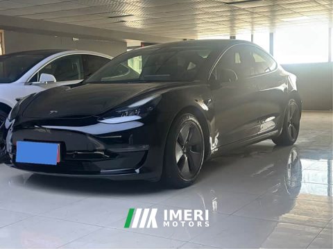 2021 Tesla Model 3 Standard Range Edition - ავტომობილი ჩინეთიდან