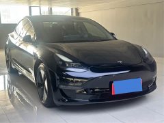 Tesla Model 3 Standard Range Edition - ფოტო 3
