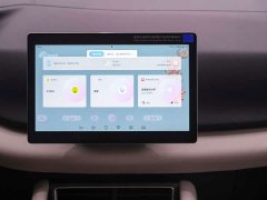 BYD UP 301KM Version - ფოტო 13