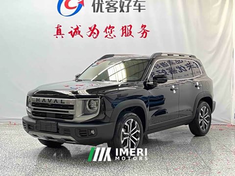 2025 Great Wall Dargo 1.5T DCT Edition - ავტომობილი ჩინეთიდან