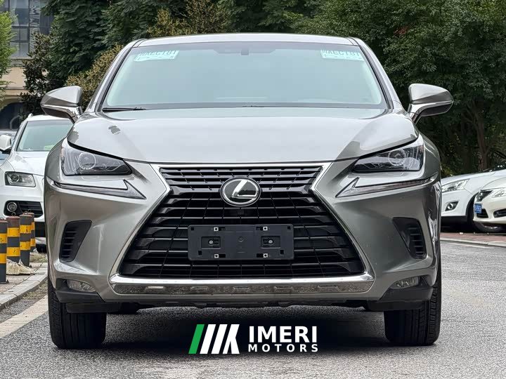 Lexus NX 200 Edition V - ავტომობილი ჩინეთიდან