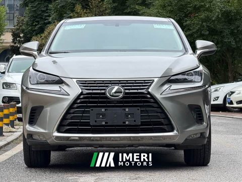 2021 Lexus NX 200 Edition V - ავტომობილი ჩინეთიდან