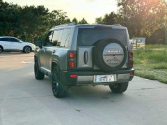Haval Menglong PHEV Hi4 102 Pro - ფოტო 4