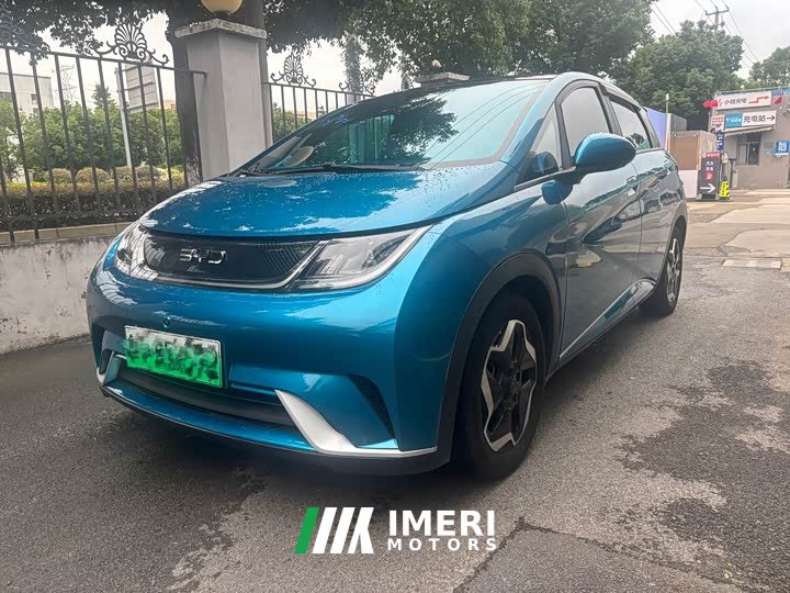 BYD Dolphin 420km Fashion Edition - ავტომობილი ჩინეთიდან