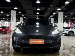 Tesla Model Y Edition - ფოტო 2