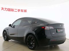 Tesla Model Y Edition - ფოტო 15